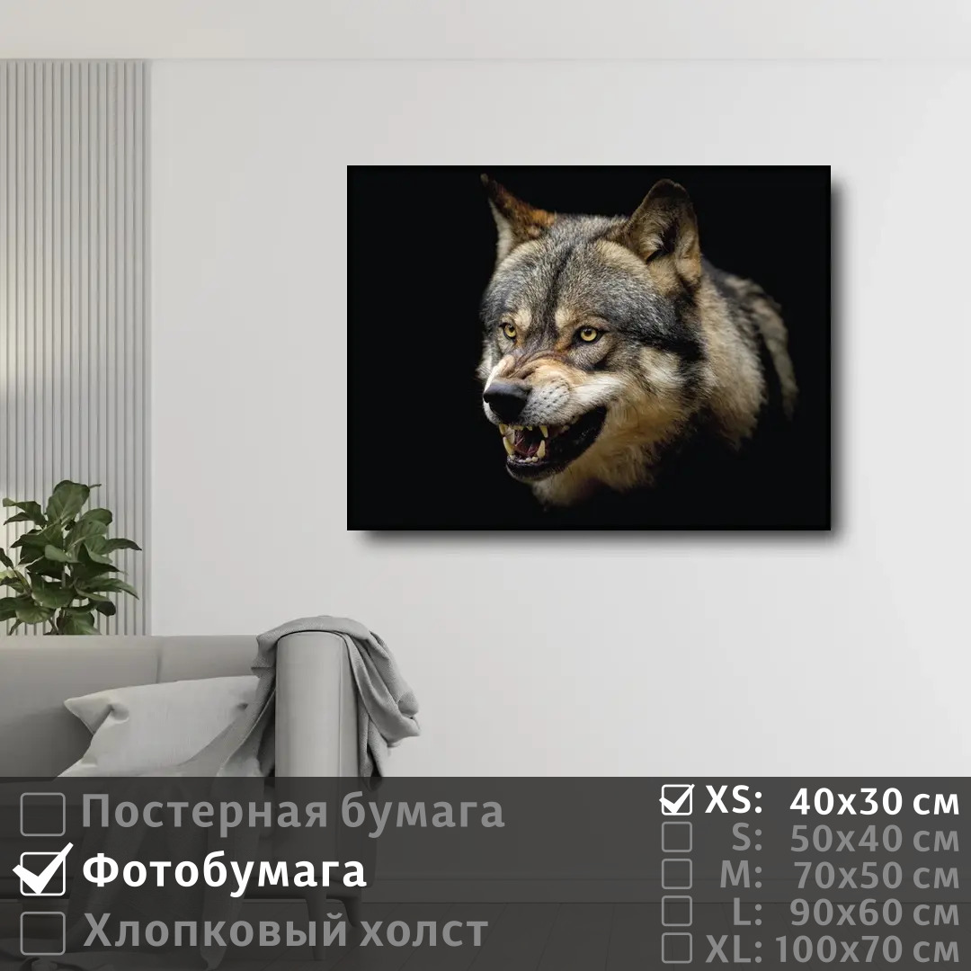

Постер на фотобумаге ПолиЦентр Дикий волк 40х30 см, ДикийВолкТип1