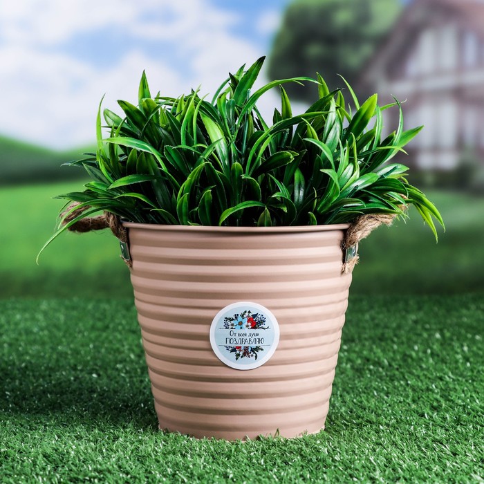 

Цветочное кашпо Take It Easy Ведерко от всей души 9186804 1,3 л микс 1 шт., Бежевый, Ведерко от всей души