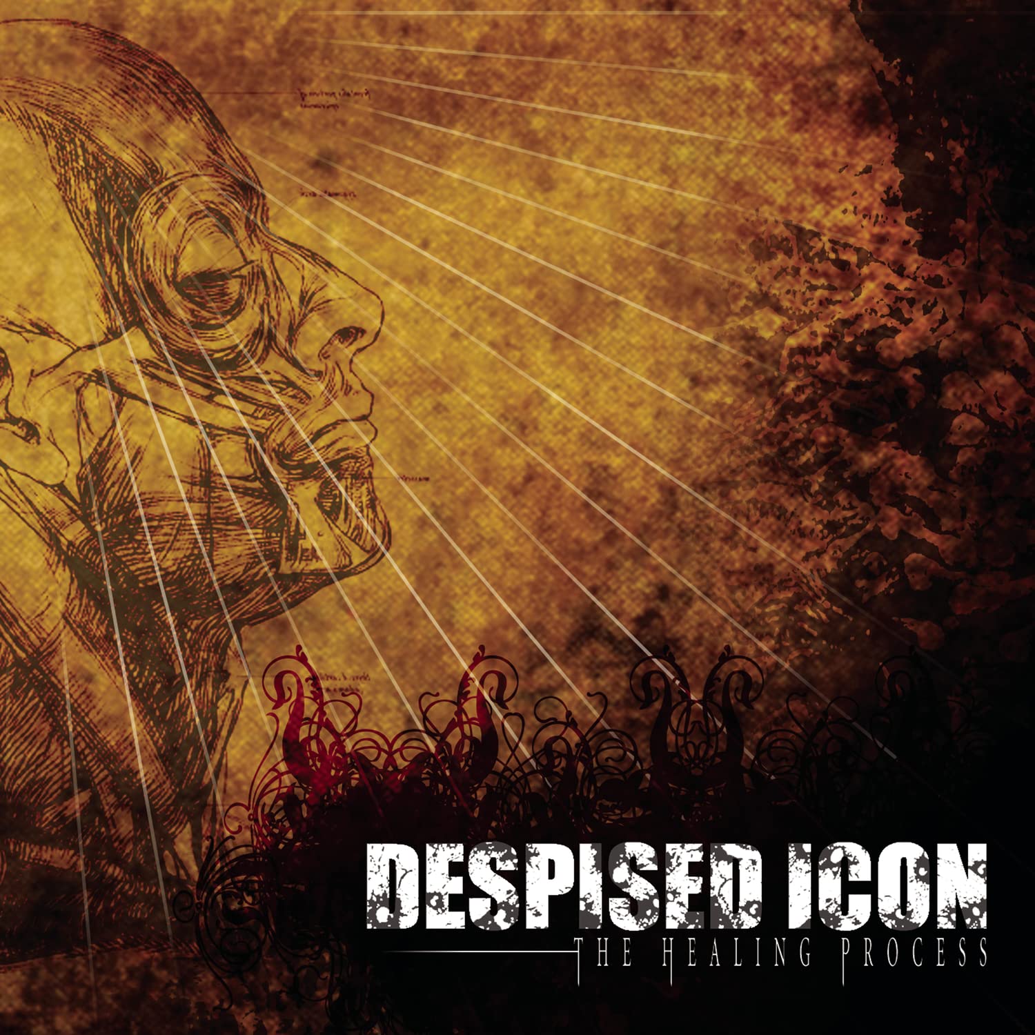 

Despised Icon The Healing Process (Cd)