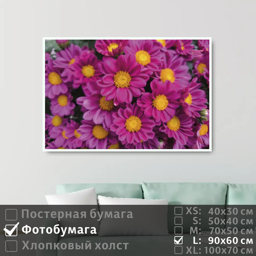 

Постер на фотобумаге ПолиЦентр Розовые цветы 90х60 см, РозовыеЦветы