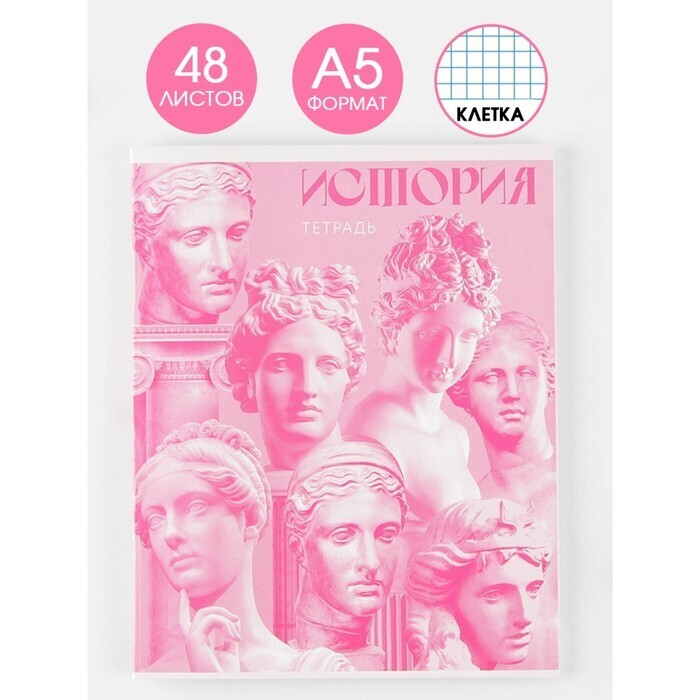 

Предметная тетрадь 48 листов ArtFox STUDY Розовая Серия История