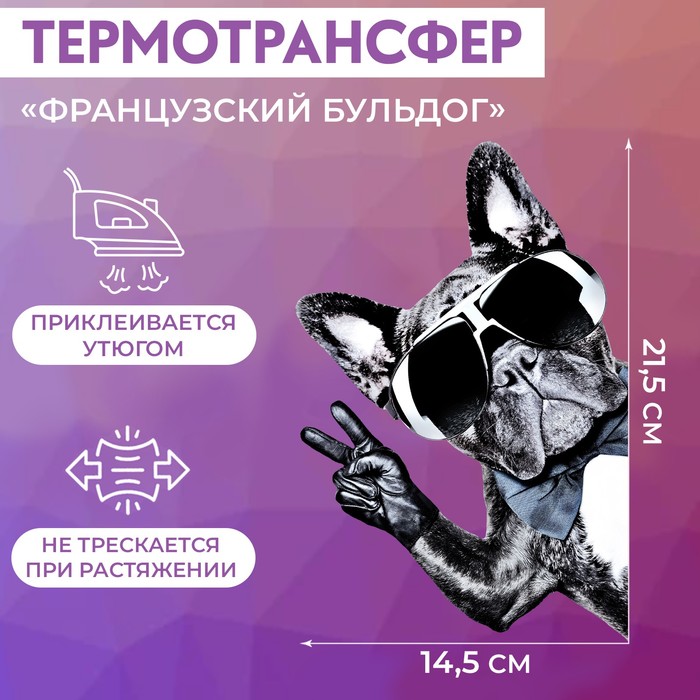 

Термотрансфер Арт Узор Французский бульдог, 14,5 x 21,5 см, 5шт., Разноцветный