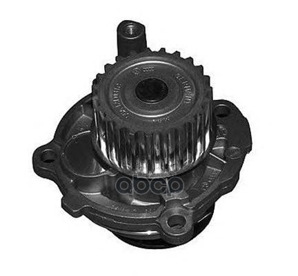 

Помпа Водяная Magneti Marelli 352316171209