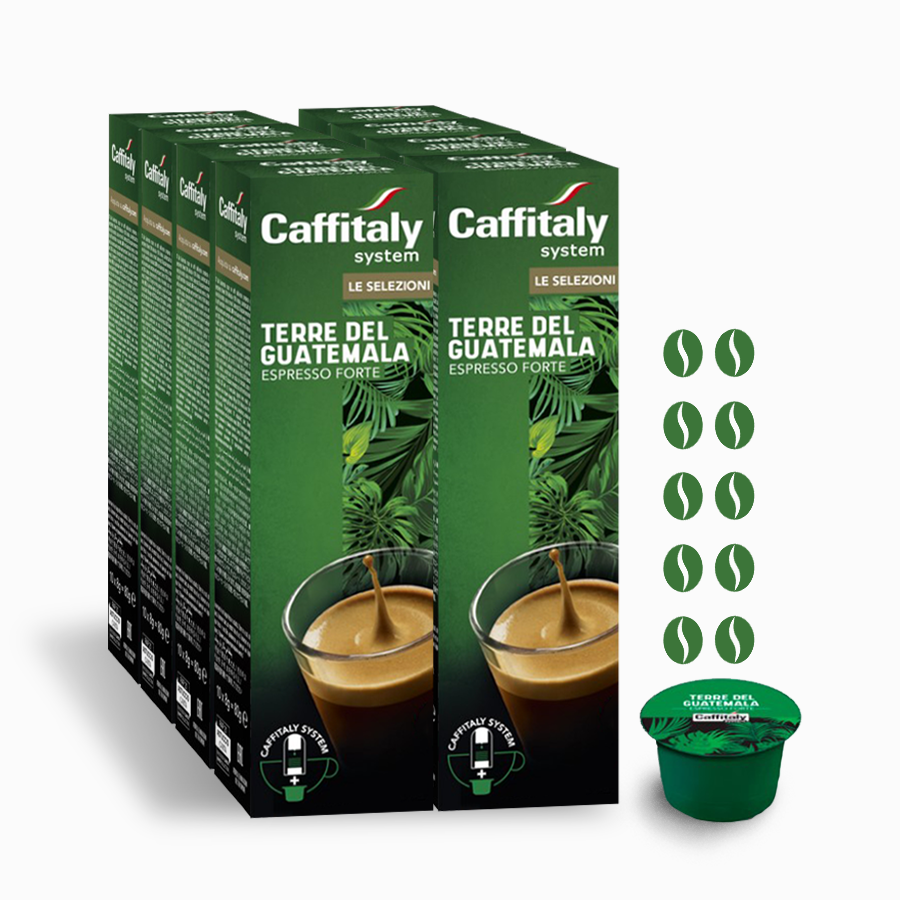 Кофе в капсулах Caffitaly System Ecaffe Terre del Guatemala, 80 капсул