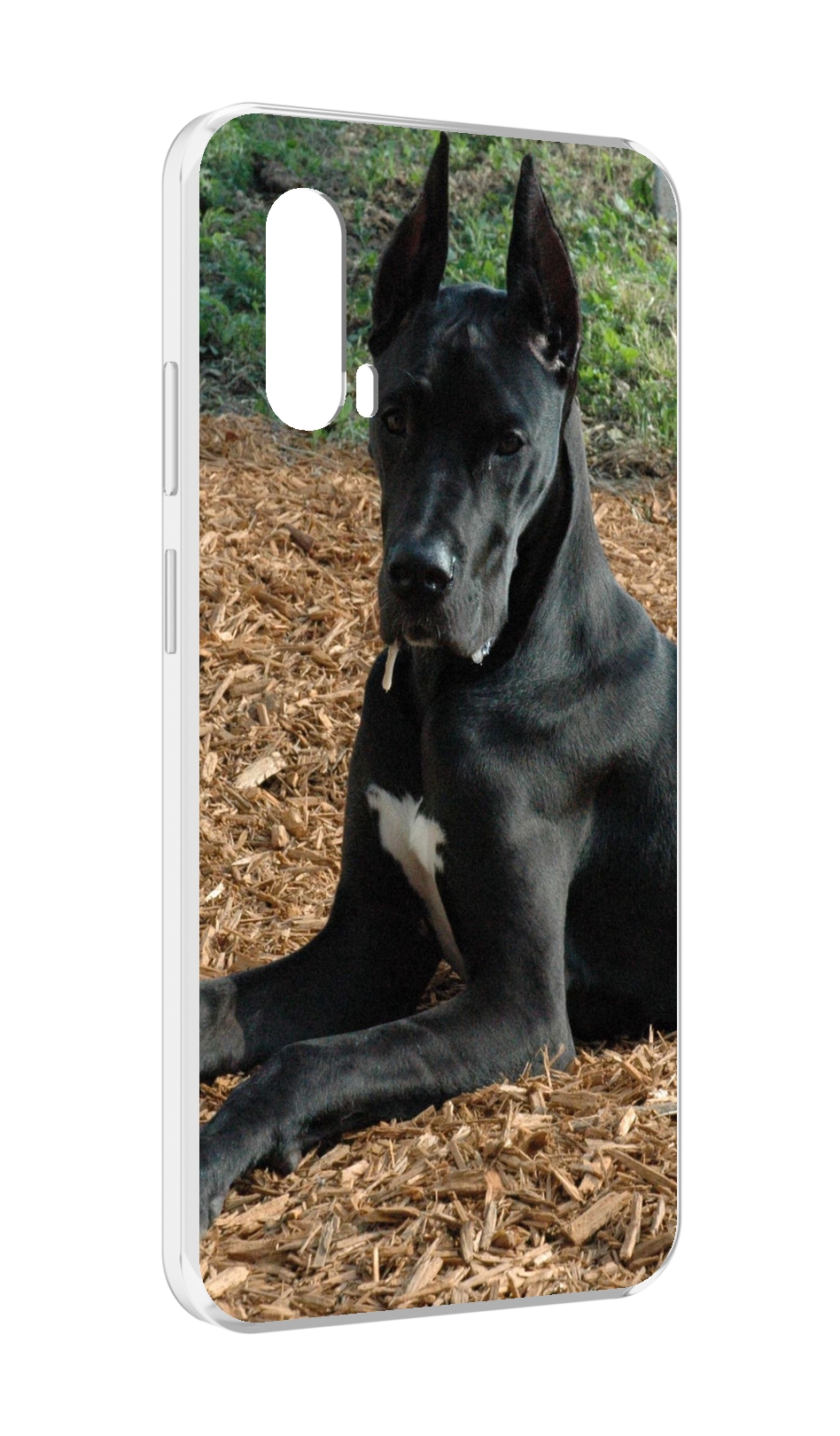 

Чехол MyPads немецкии дог для Blackview BV7100, Прозрачный, Tocco