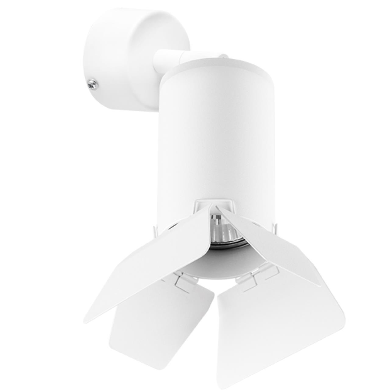 

Светильник настенный Lightstar Rullo RB436436 50W GU10