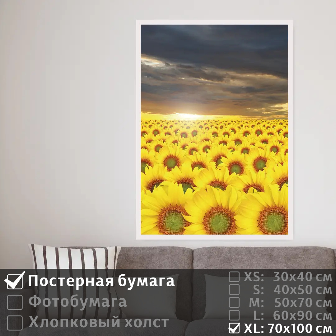 

Постер на стену ПолиЦентр Подсолнухи в сумерках под облаками 70х100 см, ПодсолнухиВСумеркахПодОблаками7