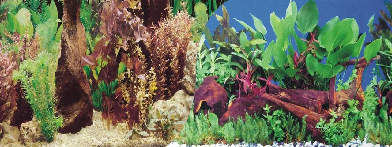 Фон для аквариума Barbus, ламинированная бумага, 1500x60 см