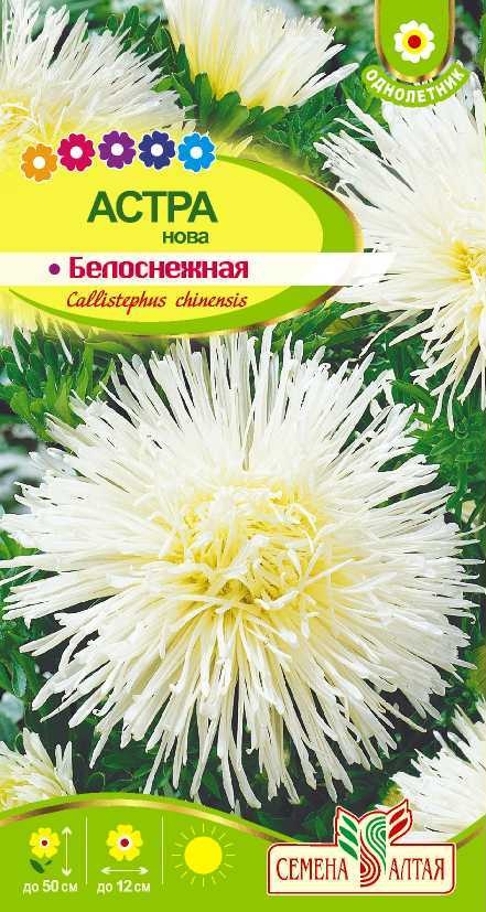 

Семена цветов астра Нова белоснежная Семена Алтая 0,2 г 1 шт.