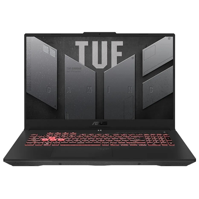 Ноутбук ASUS TUF Gaming A17 Gray (90NR0972-M00200)