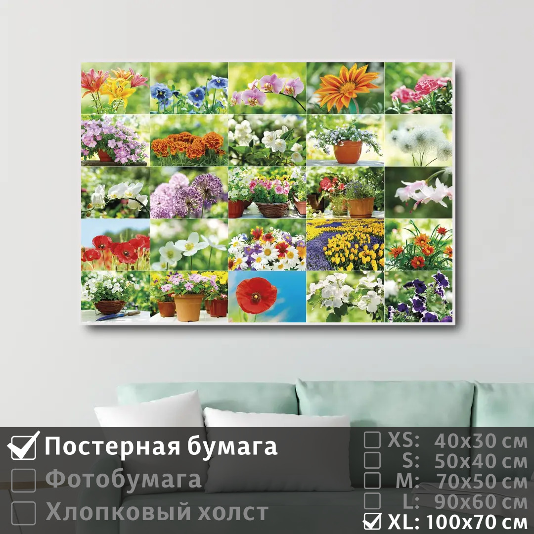 

Постер на стену ПолиЦентр Коллаж из красивых цветов 100х70 см, КоллажИзКрасивыхЦветов1