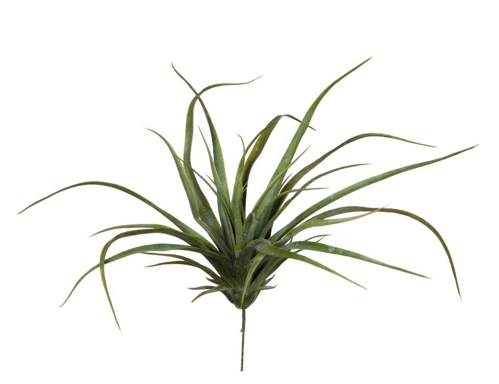 

Искусственная ветка зелёная "Тилландсия", 26x30 см, Зеленый, 1021010