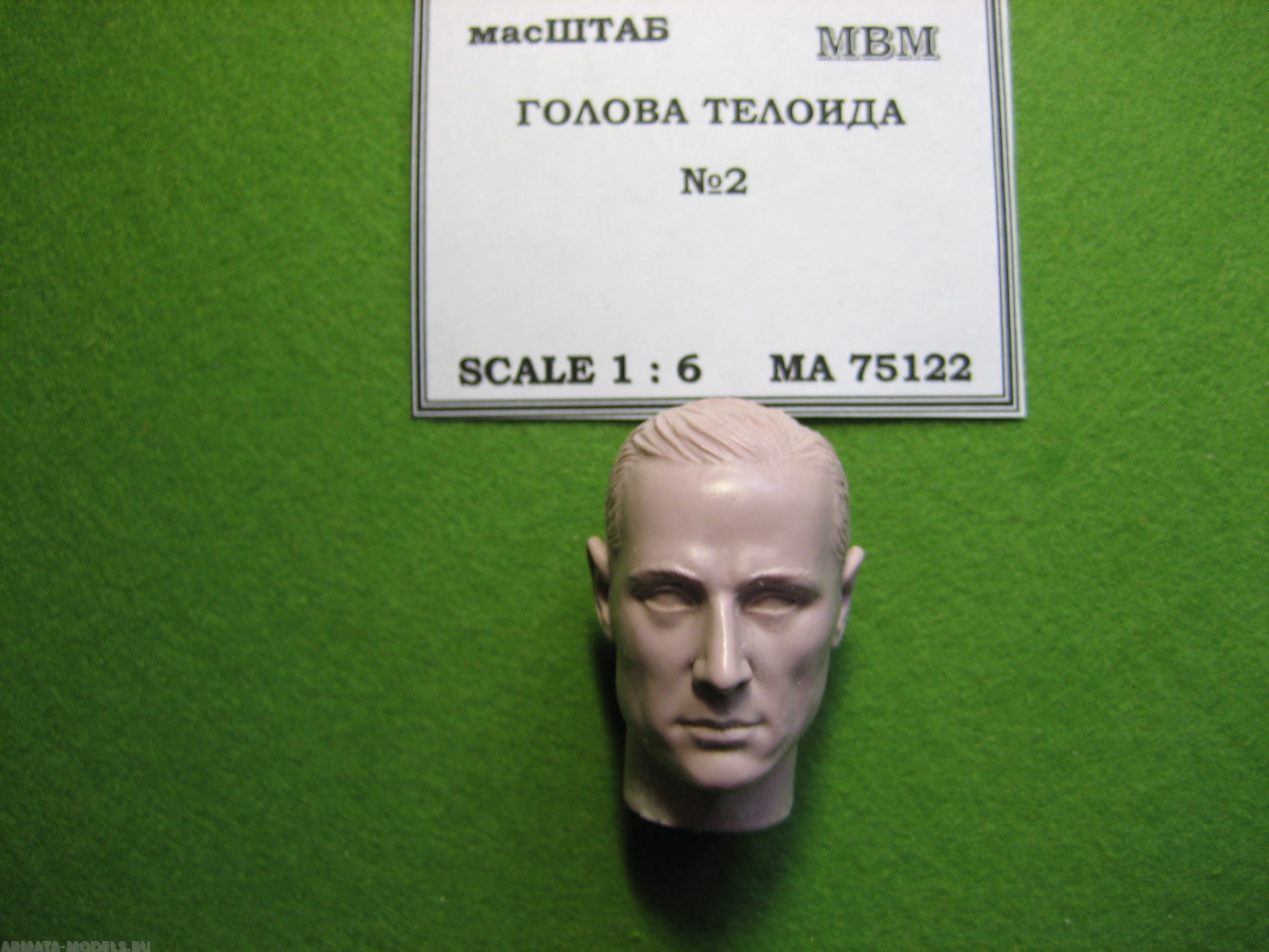 

75122 Голова телоида 2