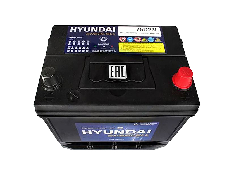 75d23l battery. Hyundai Energy 75d23l. Аккумулятор Hyundai 75d23l. Аккумулятор автомобильный Hyundai CMF 65ач 520a [75d23l]. Автомобильный аккумулятор Hyundai Enercell 75d23l.