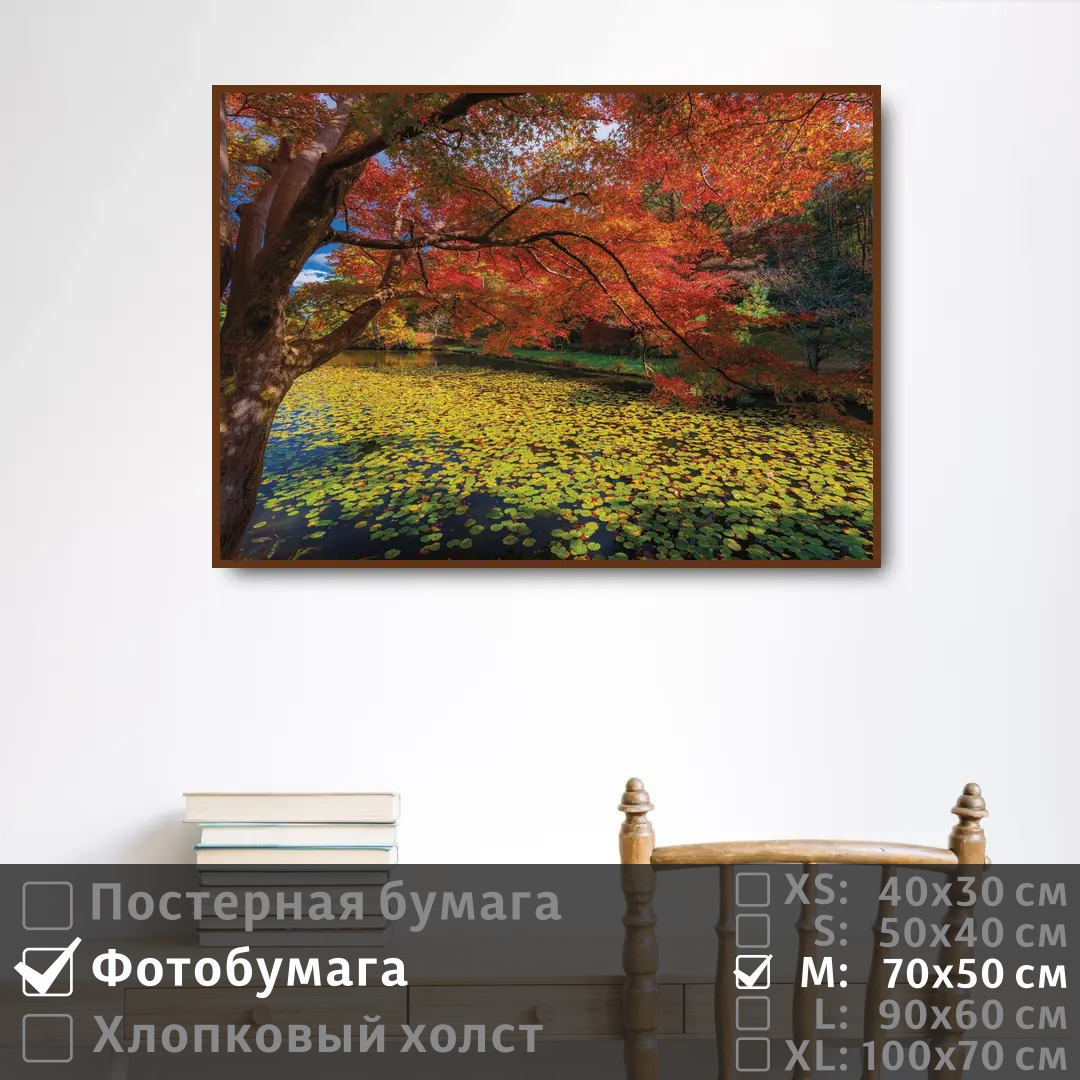 

Постер на фотобумаге ПолиЦентр Красочное осеннее дерево 70х50 см, КрасочноеОсеннееДерево