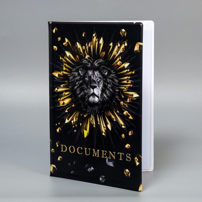 

Папка для документов «Docs», 8 файлов, 4 комплекта, А4, Черный