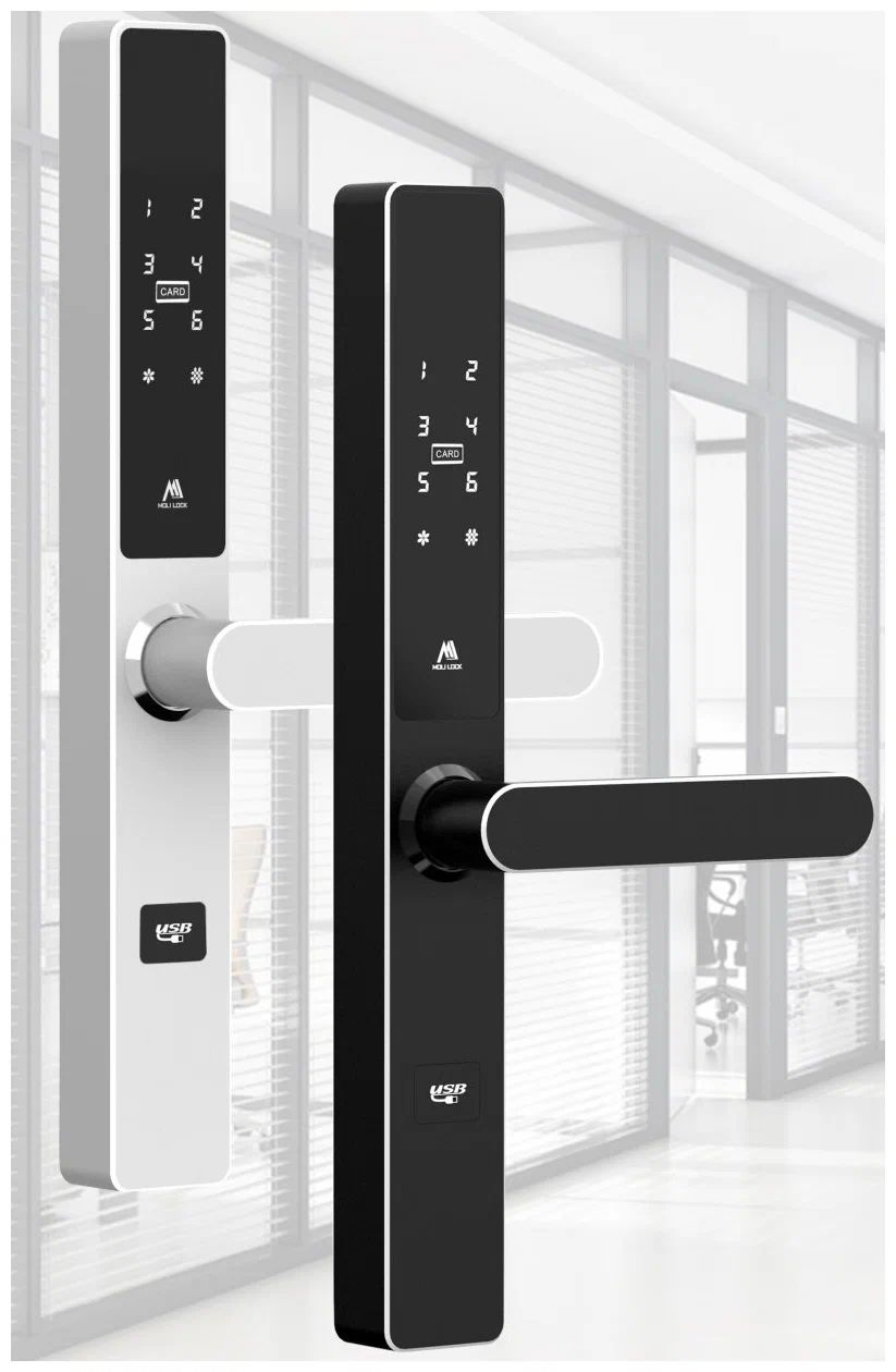MOLILOCK Электронный кодовый замок на алюминиевую дверь MoliLock D102