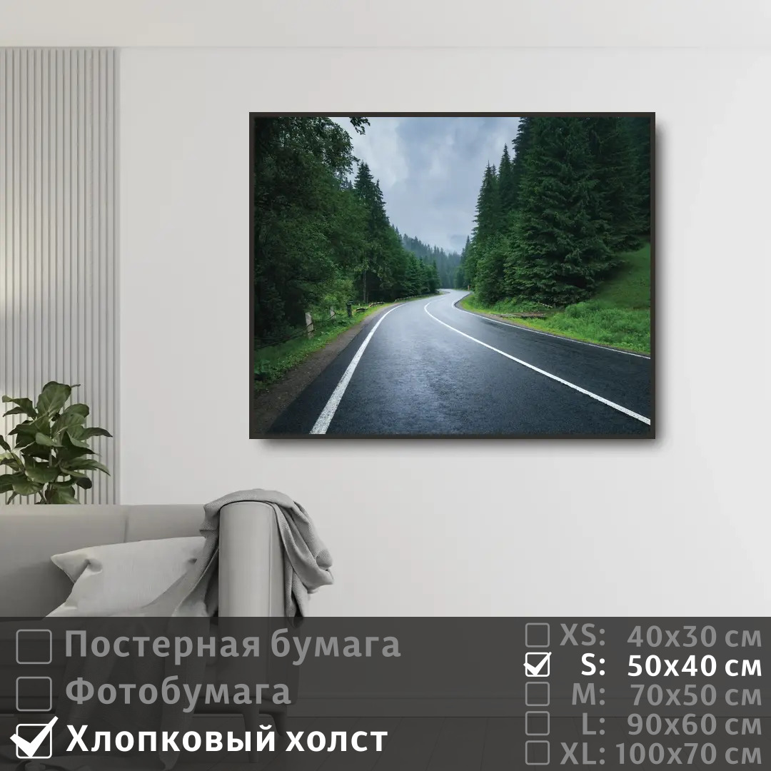 

Постер на холсте ПолиЦентр Дорога лес в тумане 50х40 см, ДорогаЛесВТумане