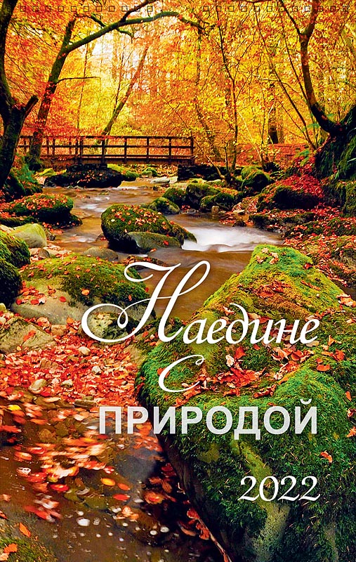 

Календарь Арт и Дизайн перекидной настенный 280х440 спираль