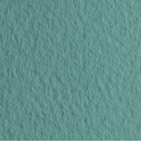 

Бумага для пастели Fabriano 52811013 Tiziano 70x100см 160г/м.кв №13 шалфей, 52811013