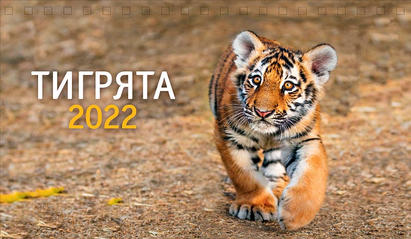 

Календарь Арт и Дизайн настольный 210х122 домик