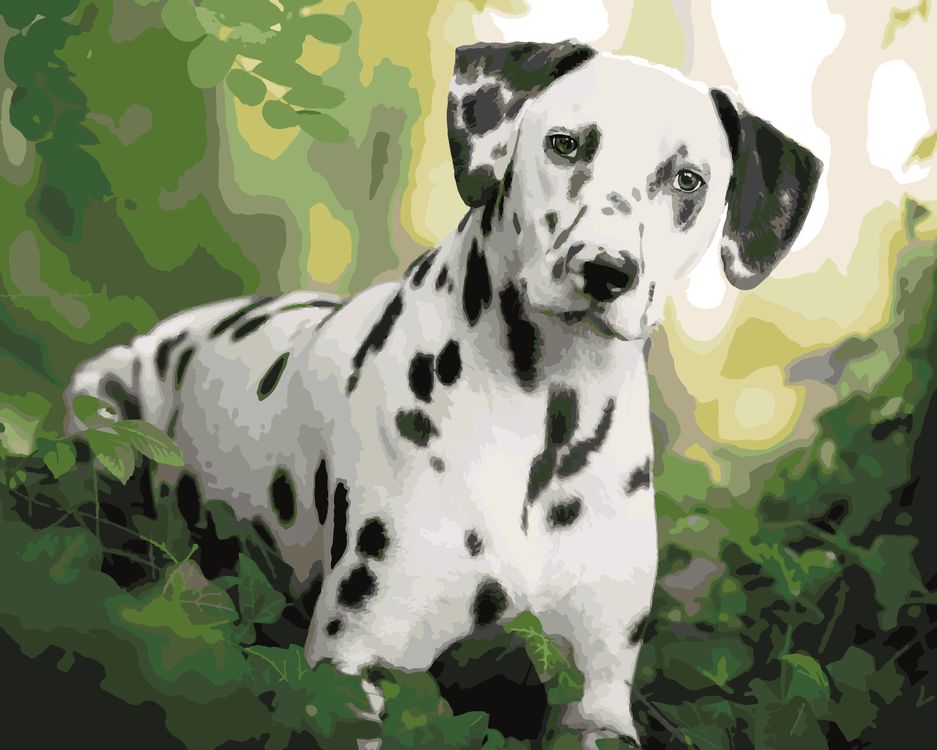 

Картина по номерам Артвентура Далматин, Артвентура Далматин