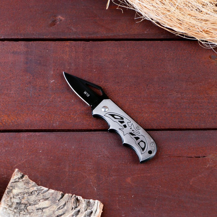 фото Туристический нож лезвие 5,1 см с вырезом, рукоять летучая мышь 12 см nobrand