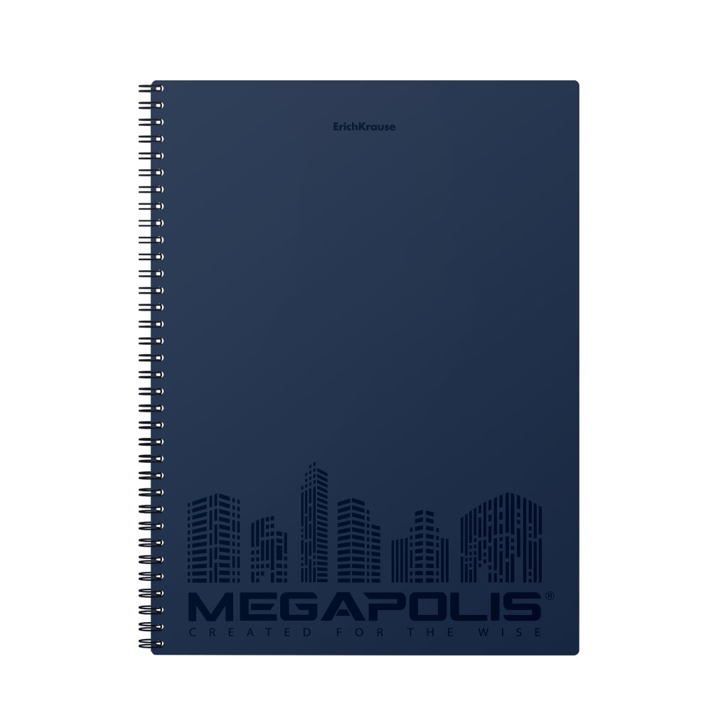 

Тетрадь общая в клетку ErichKrause Megapolis 080245478-45947, 80 л., 1 шт.