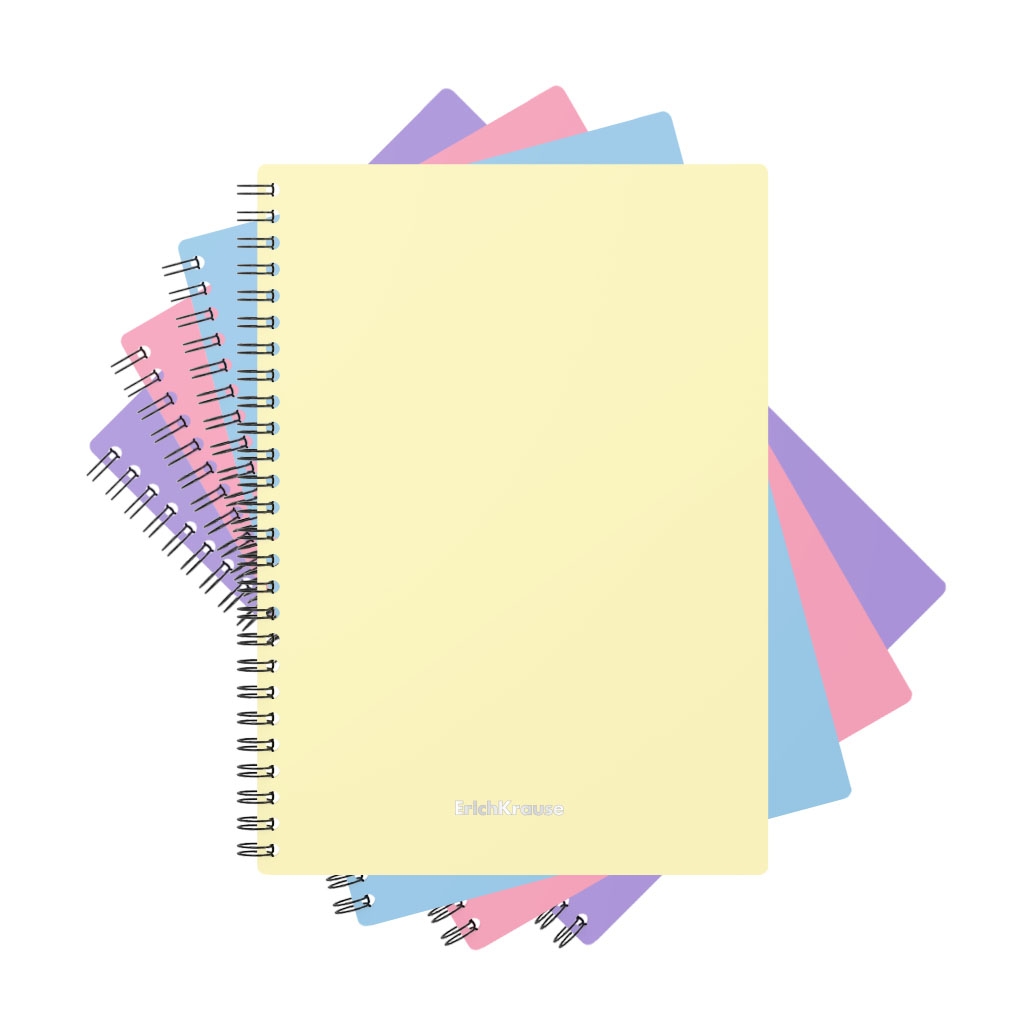 

Тетрадь общая в клетку ErichKrause Pastel 080255253-50162, 80 л., 1 шт.