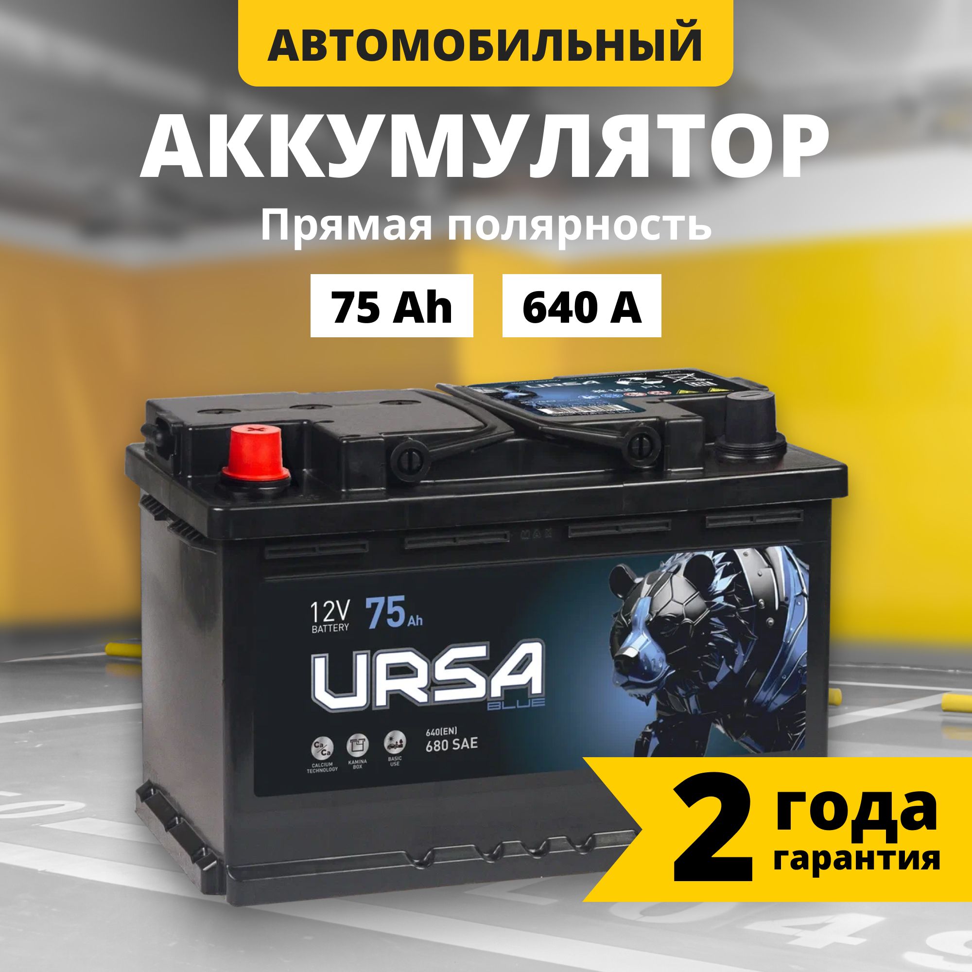 Аккумулятор автомобильный 12v 75 Ah URSA Blue 75Ah 640 A L прям пол 278x175x190 8054₽