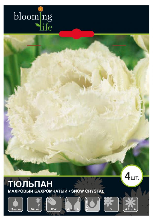

Луковицы тюльпан Сноу Кристал 7 Цветов 4 шт.