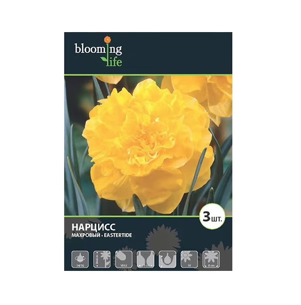 

Луковицы нарцисс Eastertide Blooming life 3 шт.