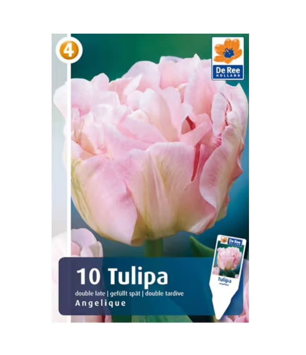 

Луковицы тюльпан Angelique De Ree Holland 10 шт.