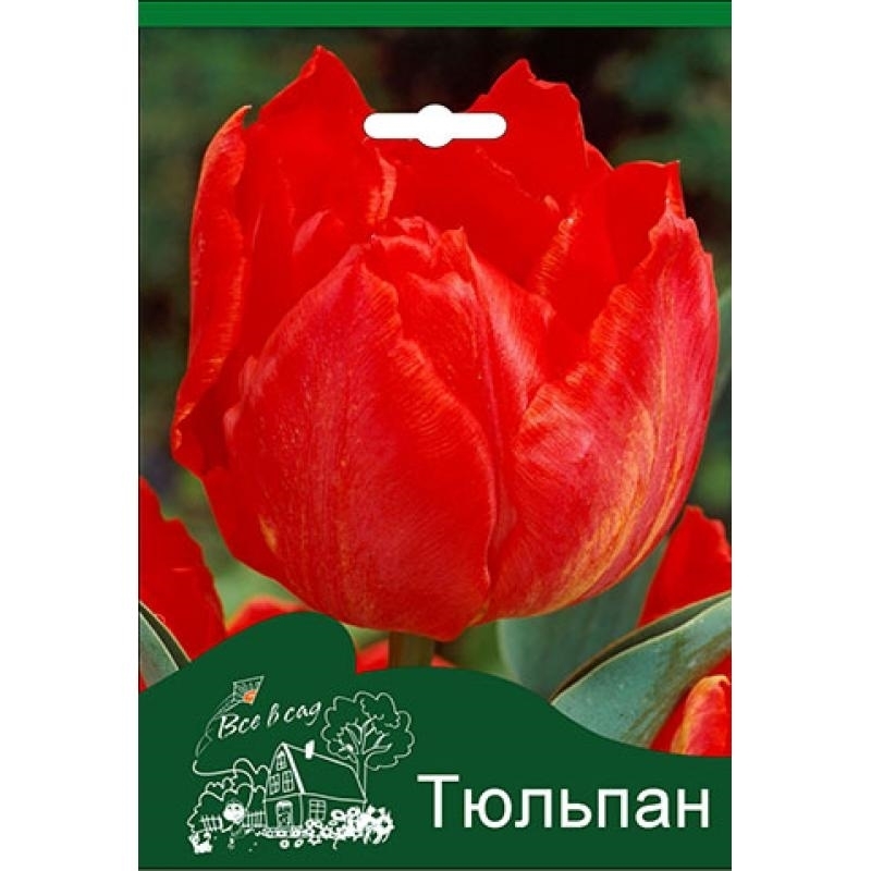 

Луковицы тюльпан Викинг Все в сад 3 шт.
