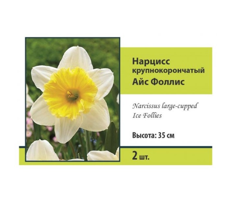 

Луковицы нарцисс в ассортименте Поиск 2 шт.