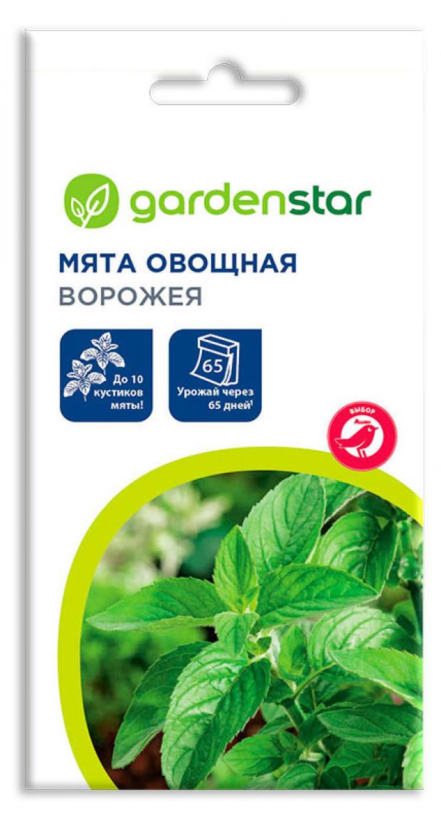 Семена Мята овощная Garden Star Ворожея, 0,01 г