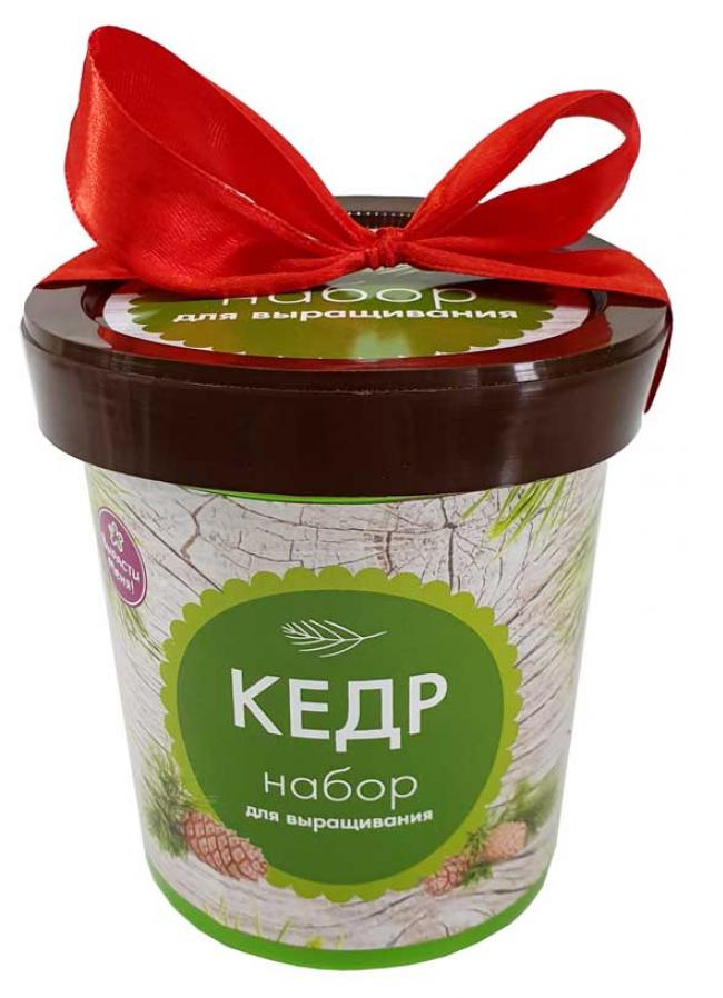 Набор для выращивания семян Happy Plant Кедр в горшочке