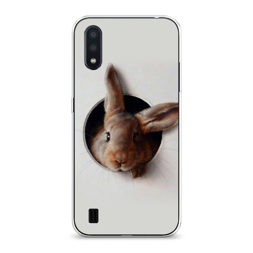 

Чехол для Samsung Galaxy A01 "Любопытный кролик", Серый;коричневый, 29550-1