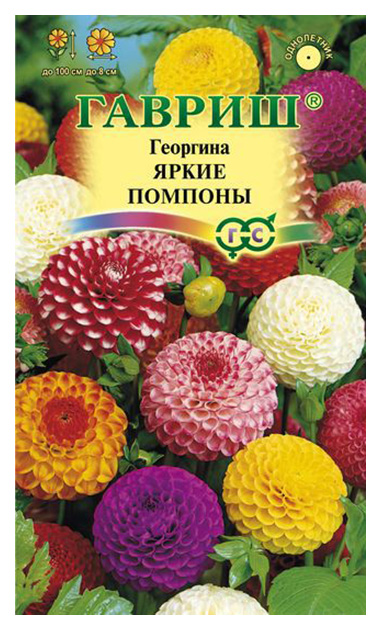 

Семена. Георгина "Яркие помпоны" (вес: 0,2 г)
