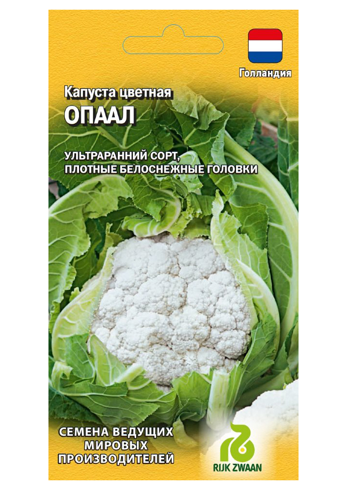 Семена капуста цветная Гавриш Опаал 1999942128 1 уп.