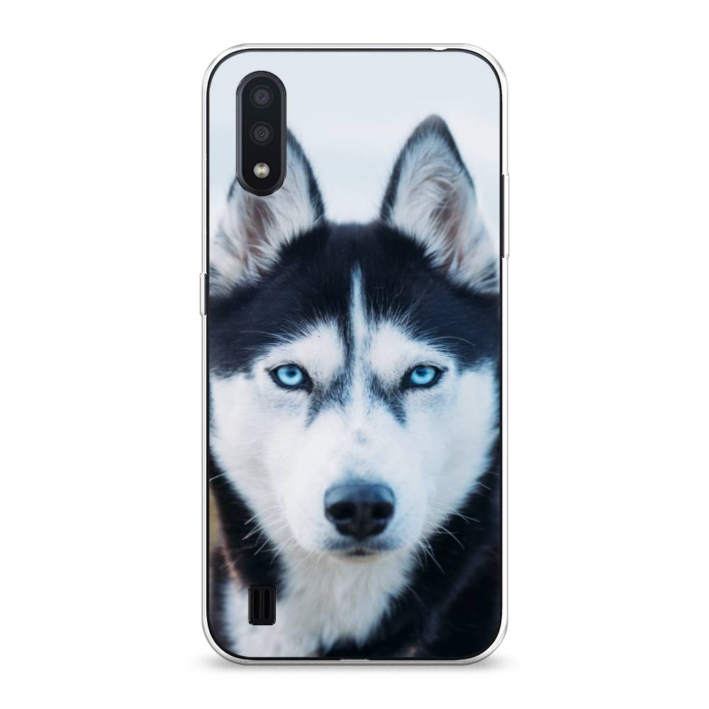 

Чехол на Samsung Galaxy A01 "Хаски 2", Синий;белый, 29550-1