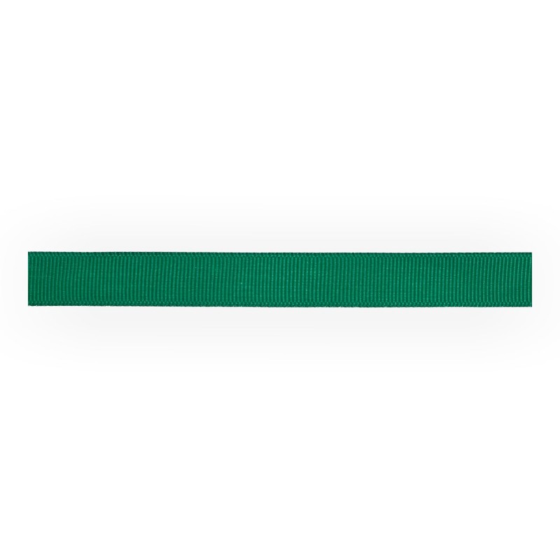 

Gamma репсовая, 12 мм, 45,5 м, № 077, цвет зеленый