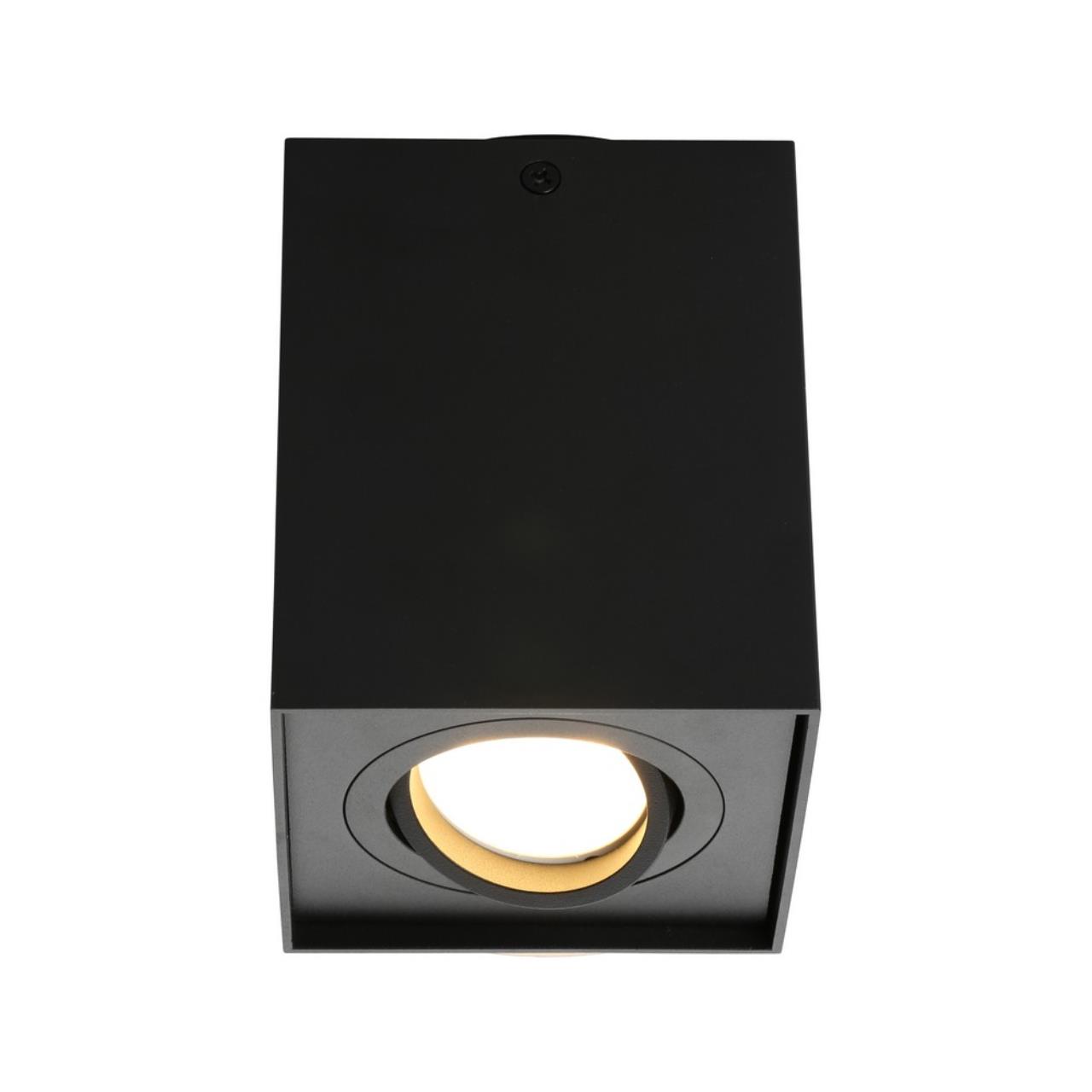 фото Светильник потолочный omnilux feletto oml-101119-01 1x35вт gu10