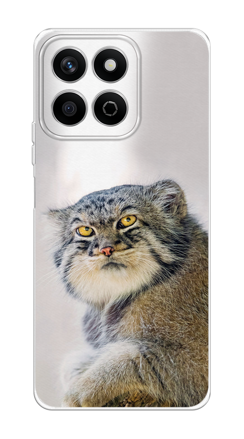 

Чехол на Honor X7c "Кот манул 1", Серый;белый;желтый, 6125250-1