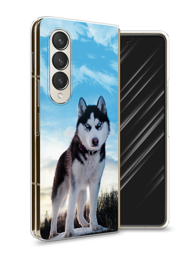 

Чехол Awog на Samsung Galaxy Z Fold 4 / Самсунг Галакси Зет Фолд 4 "Хаски 3", Разноцветный, 2106950-2