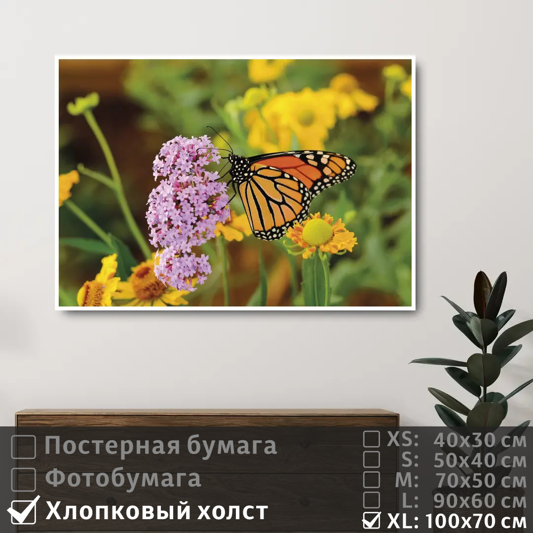 

Постер на холсте ПолиЦентр Бабочка на полевых сиреневых цветах 100х70 см, БабочкаНаПолевыхСиреневыхЦветах1
