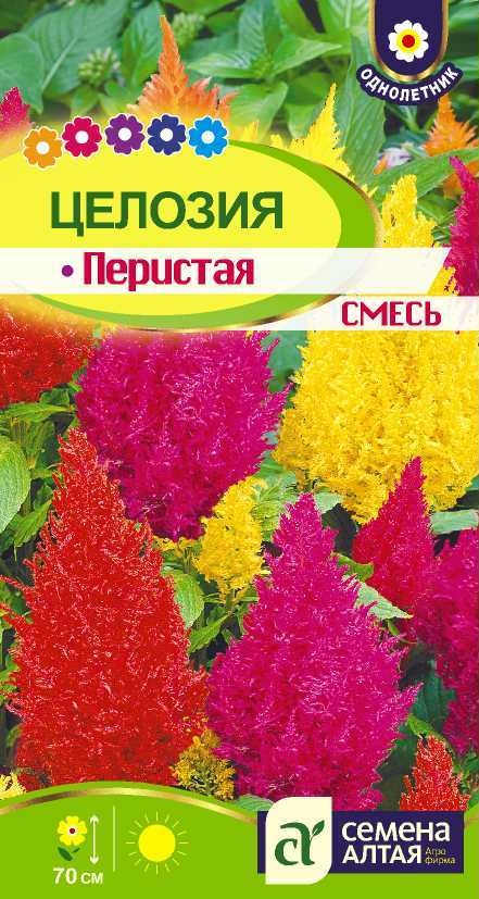 

Семена целозия Семена Алтая Перистая, смесь 1 уп.