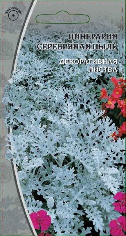 

Семена цветов цинерария Серебряная пыль Ваше Хозяйство 0,2 г 1 шт.