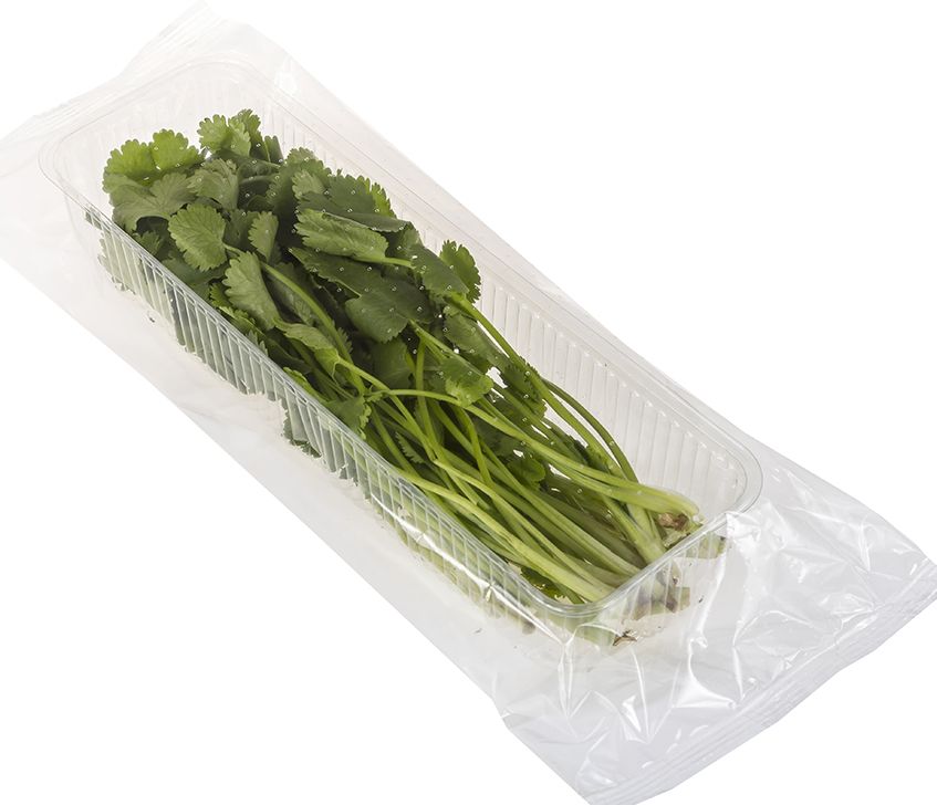 

Кинза Greenery мытая 50 г