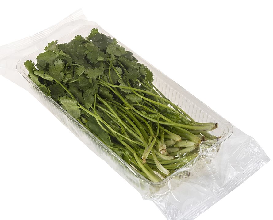 

Кинза Greenery 100 г